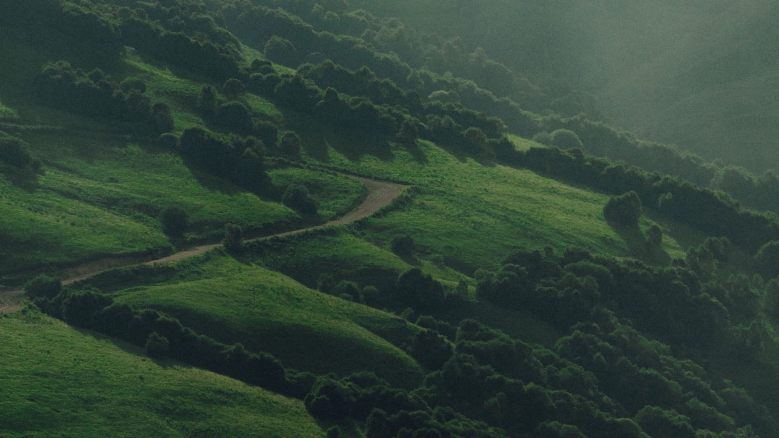 Green rolling hills with a winding path in soft natural light.